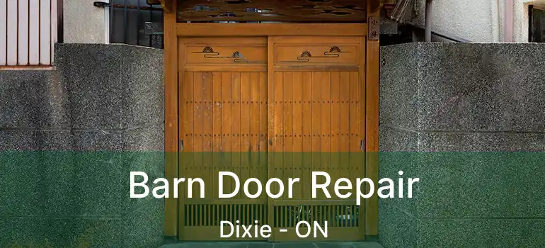  Barn Door Repair Dixie - ON