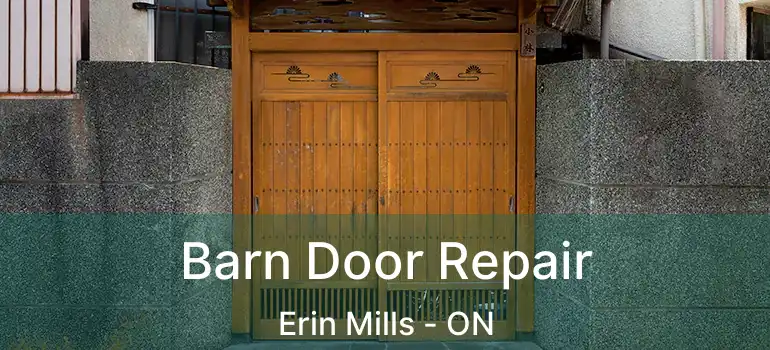  Barn Door Repair Erin Mills - ON