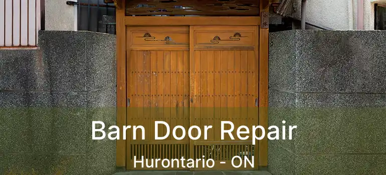  Barn Door Repair Hurontario - ON