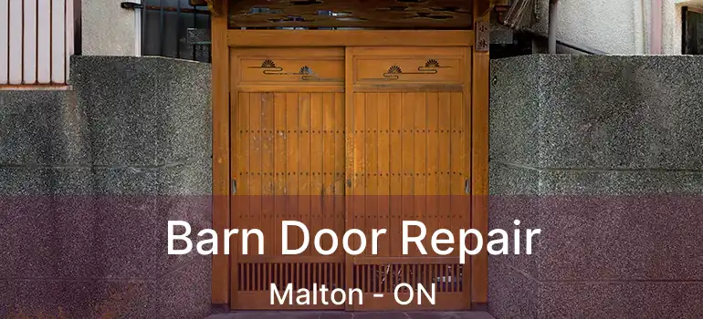  Barn Door Repair Malton - ON