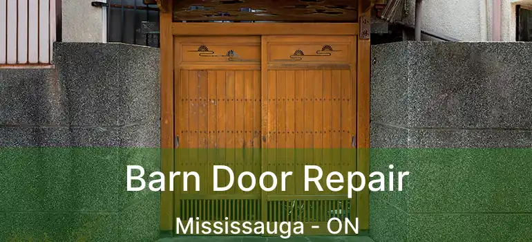  Barn Door Repair Mississauga - ON