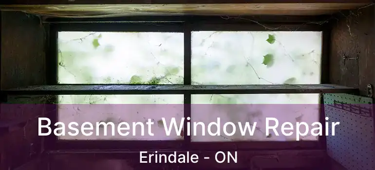  Basement Window Repair Erindale - ON