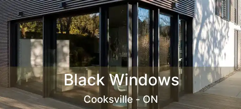  Black Windows Cooksville - ON