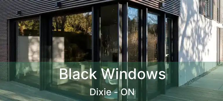  Black Windows Dixie - ON