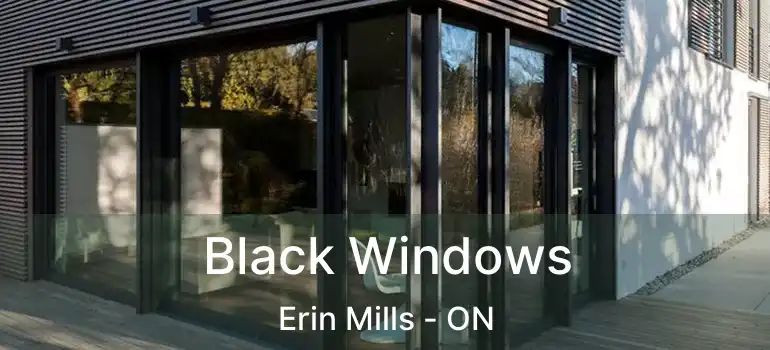 Black Windows Erin Mills - ON