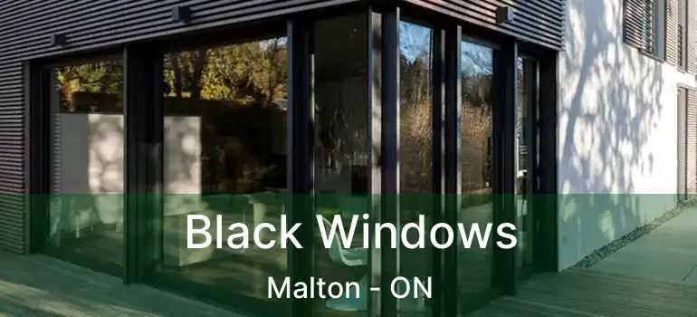  Black Windows Malton - ON