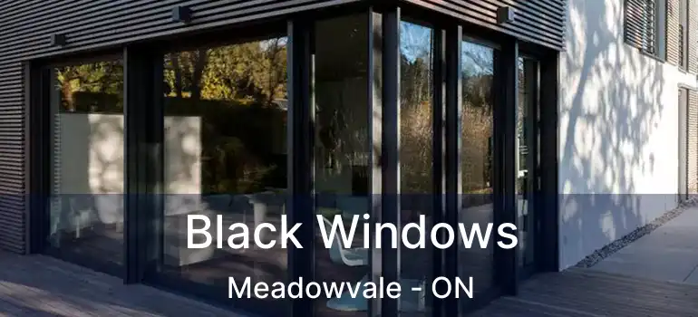  Black Windows Meadowvale - ON
