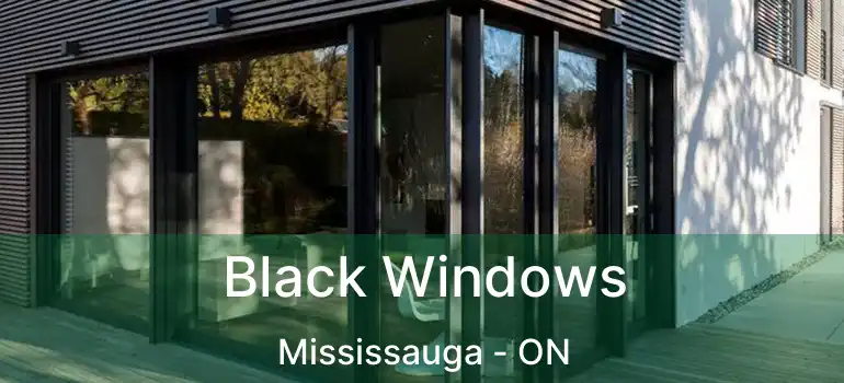  Black Windows Mississauga - ON