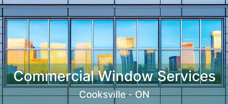  Commercial Window Services Cooksville - ON