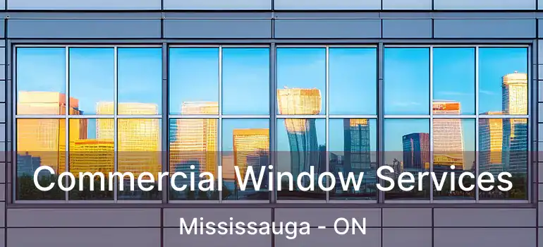  Commercial Window Services Mississauga - ON