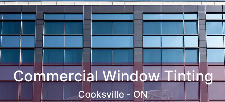  Commercial Window Tinting Cooksville - ON