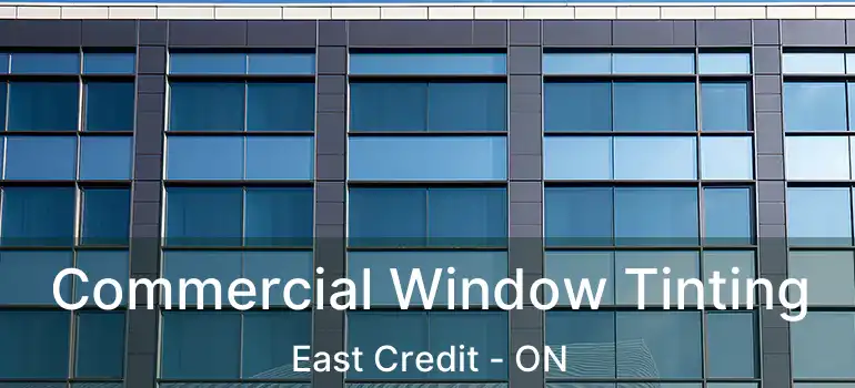  Commercial Window Tinting East Credit - ON