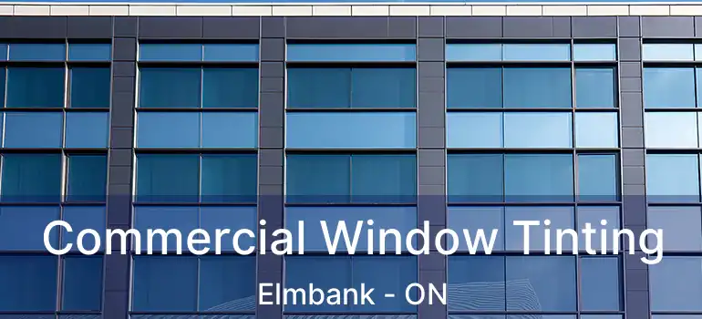  Commercial Window Tinting Elmbank - ON