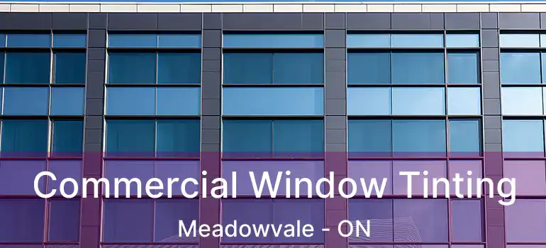  Commercial Window Tinting Meadowvale - ON