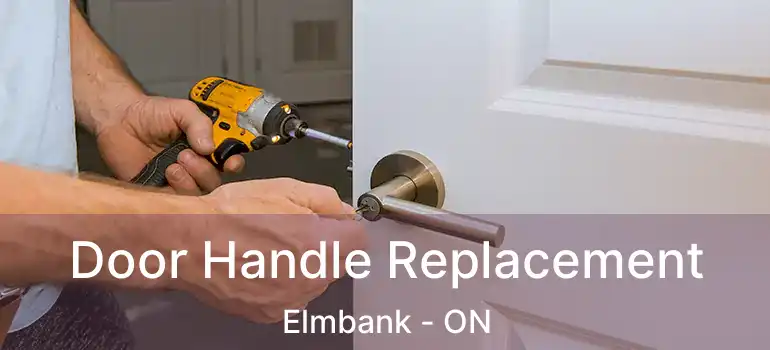  Door Handle Replacement Elmbank - ON