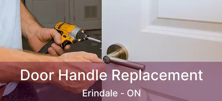  Door Handle Replacement Erindale - ON