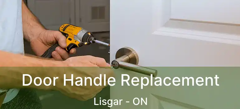  Door Handle Replacement Lisgar - ON