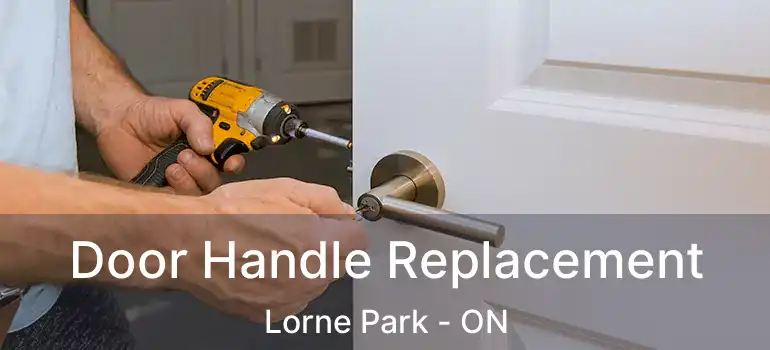  Door Handle Replacement Lorne Park - ON