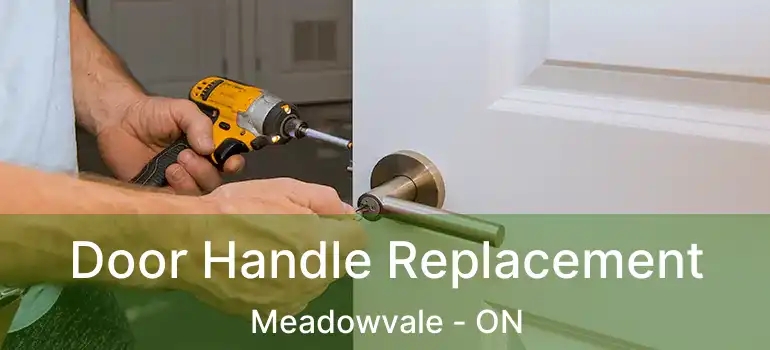  Door Handle Replacement Meadowvale - ON