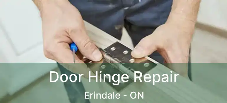  Door Hinge Repair Erindale - ON