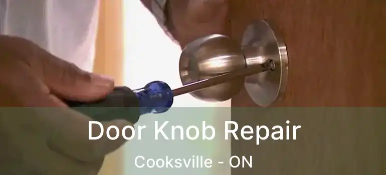  Door Knob Repair Cooksville - ON