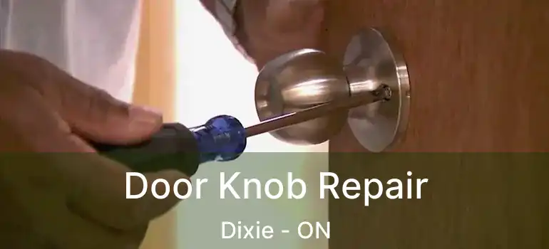  Door Knob Repair Dixie - ON