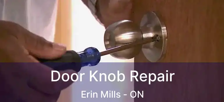  Door Knob Repair Erin Mills - ON