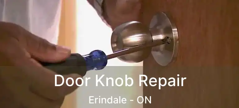  Door Knob Repair Erindale - ON