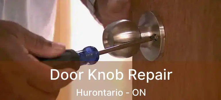  Door Knob Repair Hurontario - ON