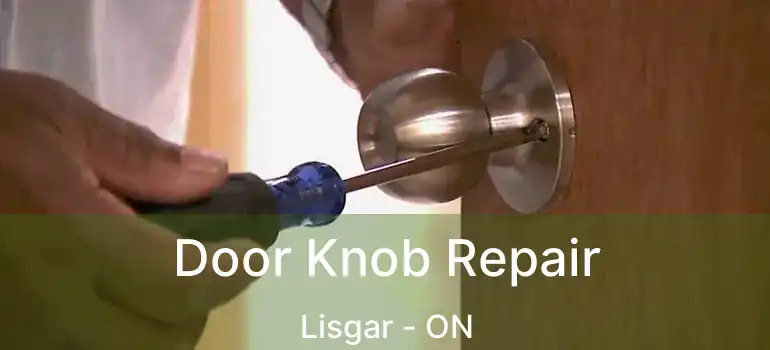  Door Knob Repair Lisgar - ON