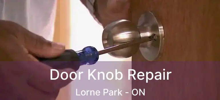  Door Knob Repair Lorne Park - ON