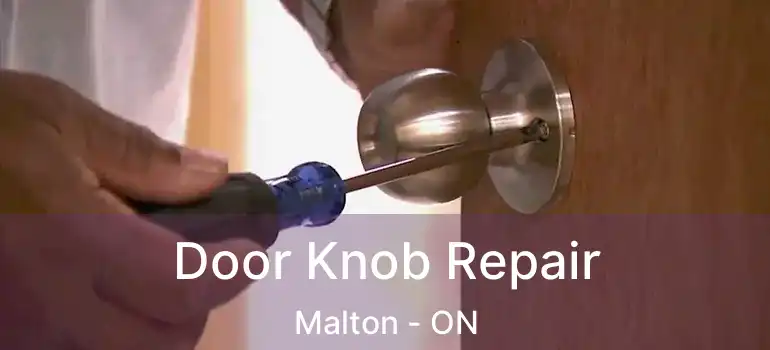  Door Knob Repair Malton - ON