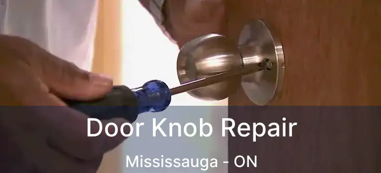  Door Knob Repair Mississauga - ON