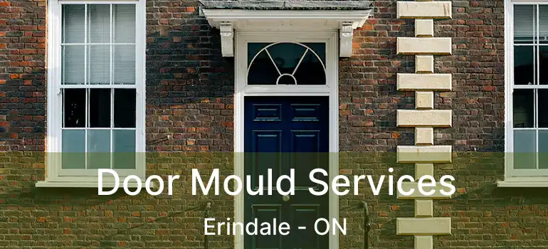  Door Mould Services Erindale - ON