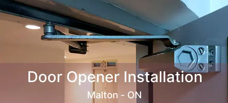  Door Opener Installation Malton - ON
