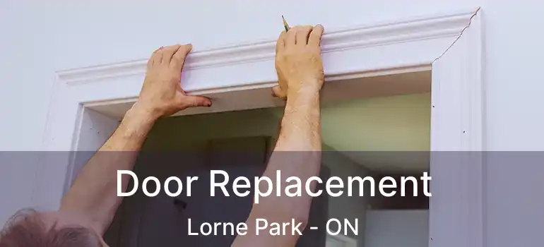  Door Replacement Lorne Park - ON