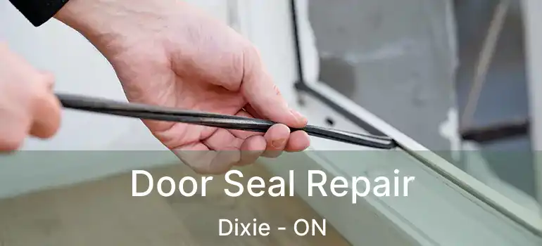  Door Seal Repair Dixie - ON