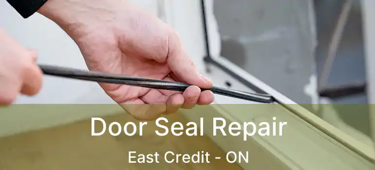  Door Seal Repair East Credit - ON