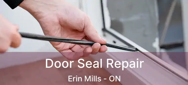  Door Seal Repair Erin Mills - ON