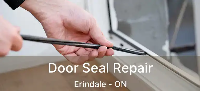  Door Seal Repair Erindale - ON