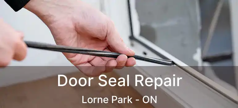  Door Seal Repair Lorne Park - ON