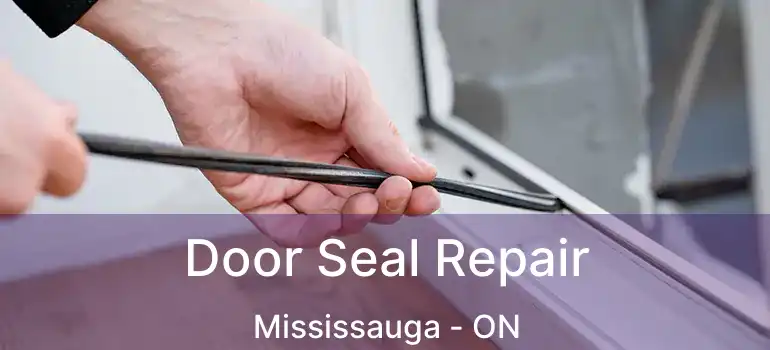  Door Seal Repair Mississauga - ON