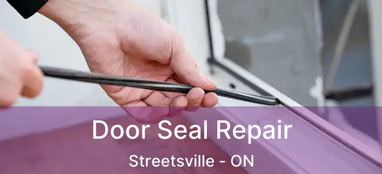  Door Seal Repair Streetsville - ON