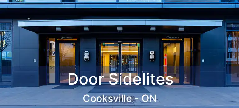  Door Sidelites Cooksville - ON