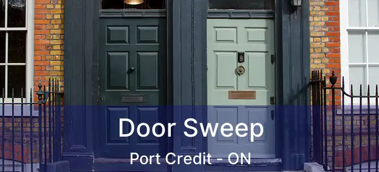  Door Sweep Port Credit - ON