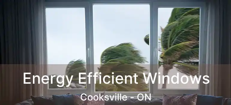  Energy Efficient Windows Cooksville - ON