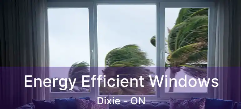  Energy Efficient Windows Dixie - ON