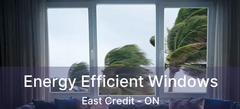  Energy Efficient Windows East Credit - ON