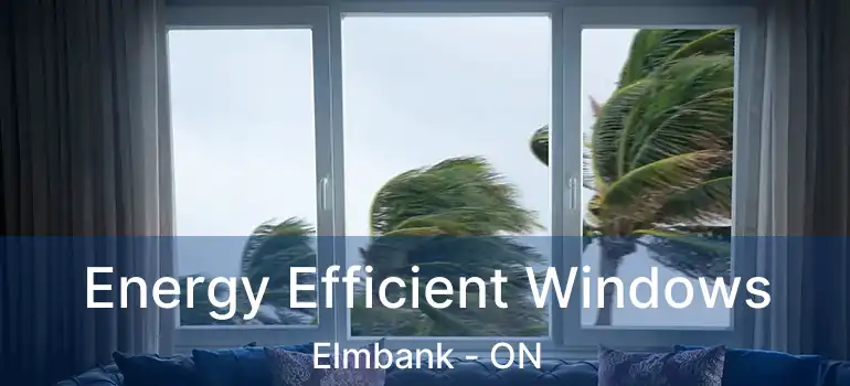  Energy Efficient Windows Elmbank - ON
