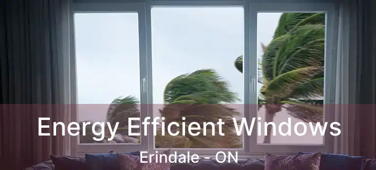  Energy Efficient Windows Erindale - ON